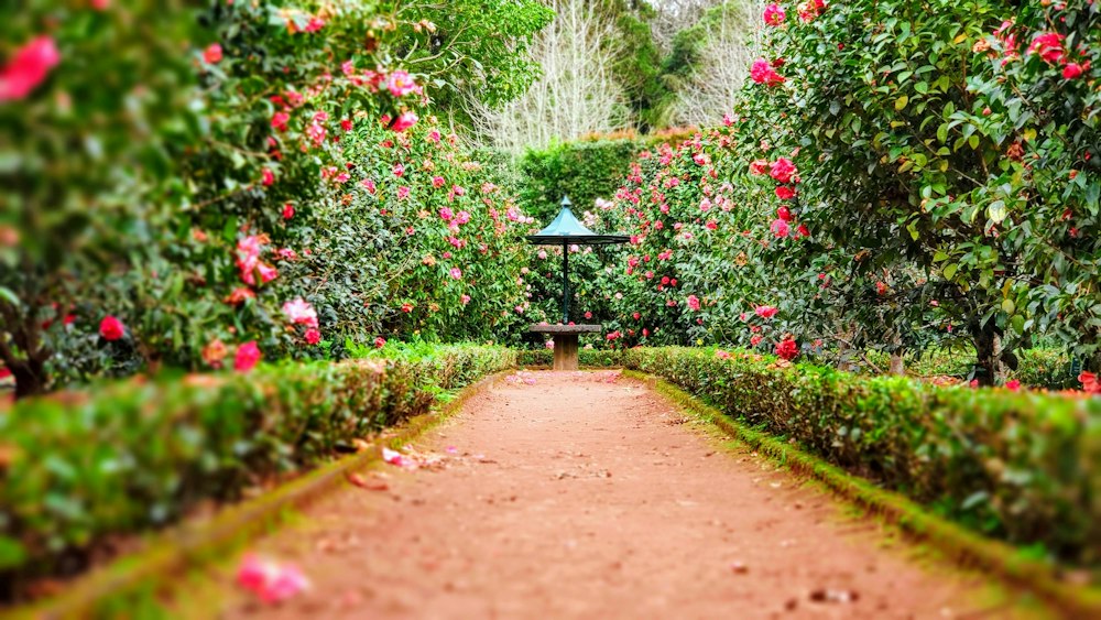 Filiera Florovivaistica e Verde